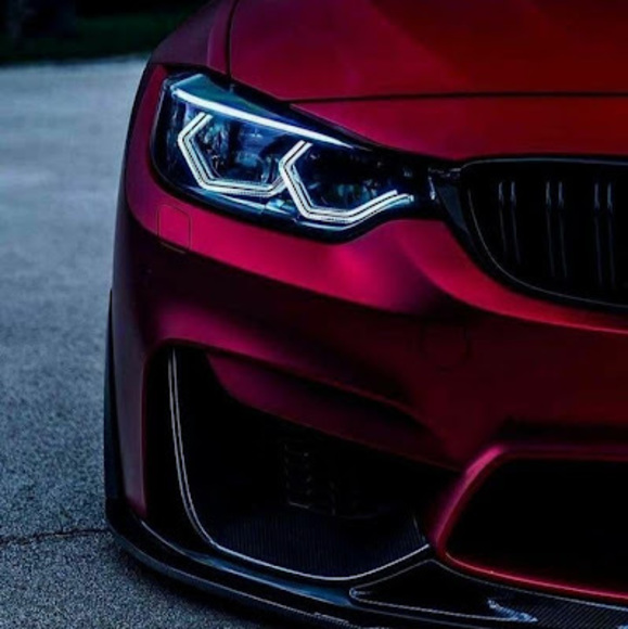 Meet your Posher, Scarlet - Picture 1 of 1